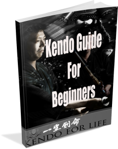 Guide-For-Beginners-3d-trans