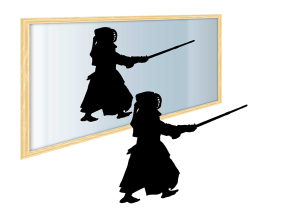 kendo chudan in mirro